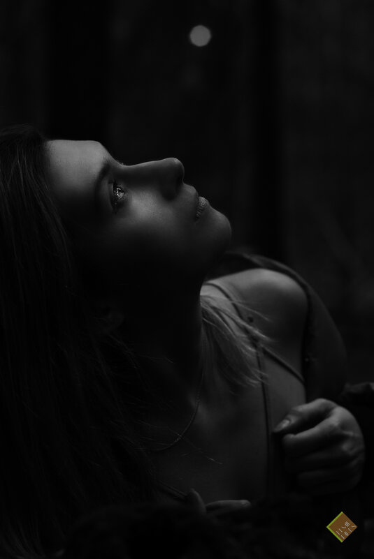 freedom - Эльмир Пирэс