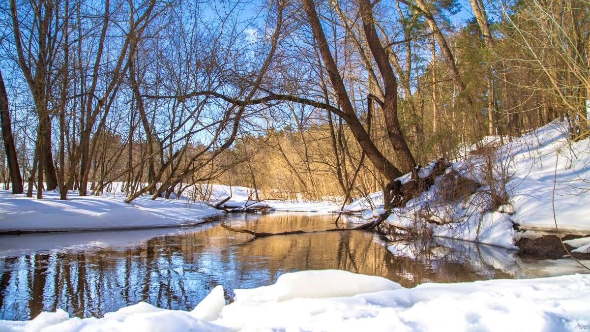 3787 - Alex . 3787 - Alex .