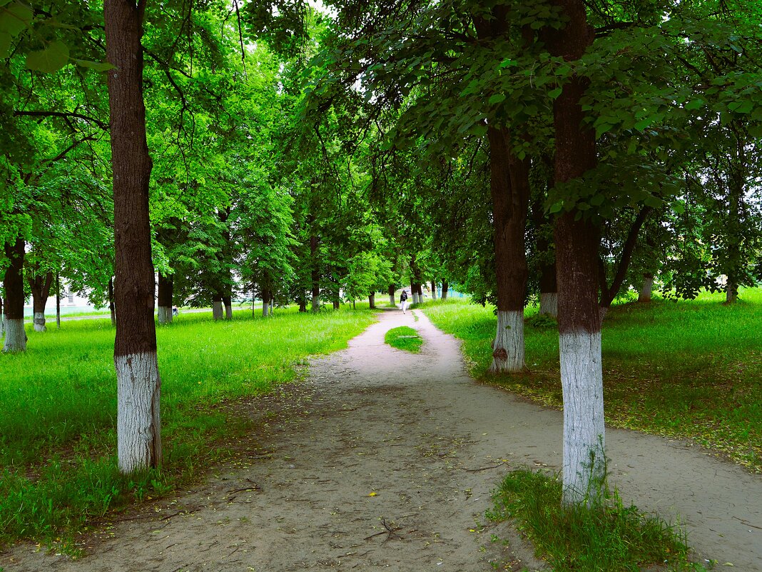 Чебоксары. Небольшой сквер на пересечении улиц Калинина и Текстильщиков. - Пётр Чернега