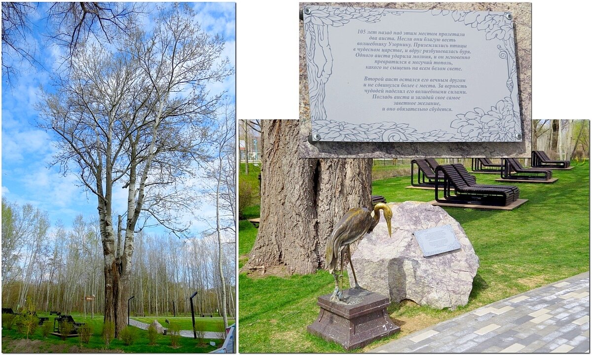 Предание - Сеня Белгородский