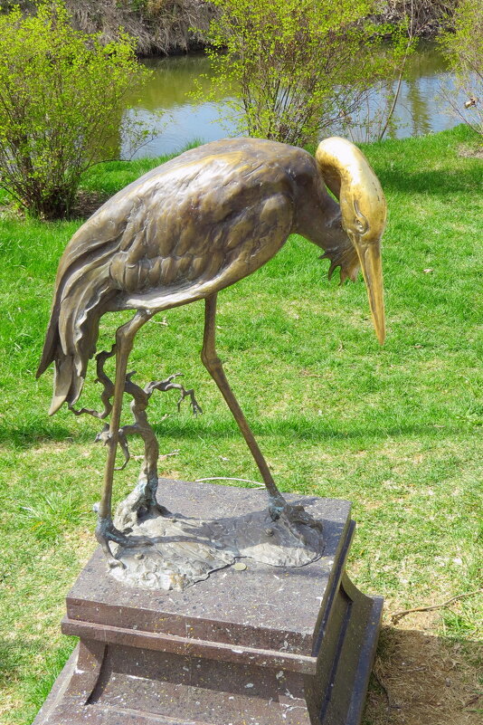 Золотой аист - Сеня Белгородский Золотой аист - Сеня Белгородский