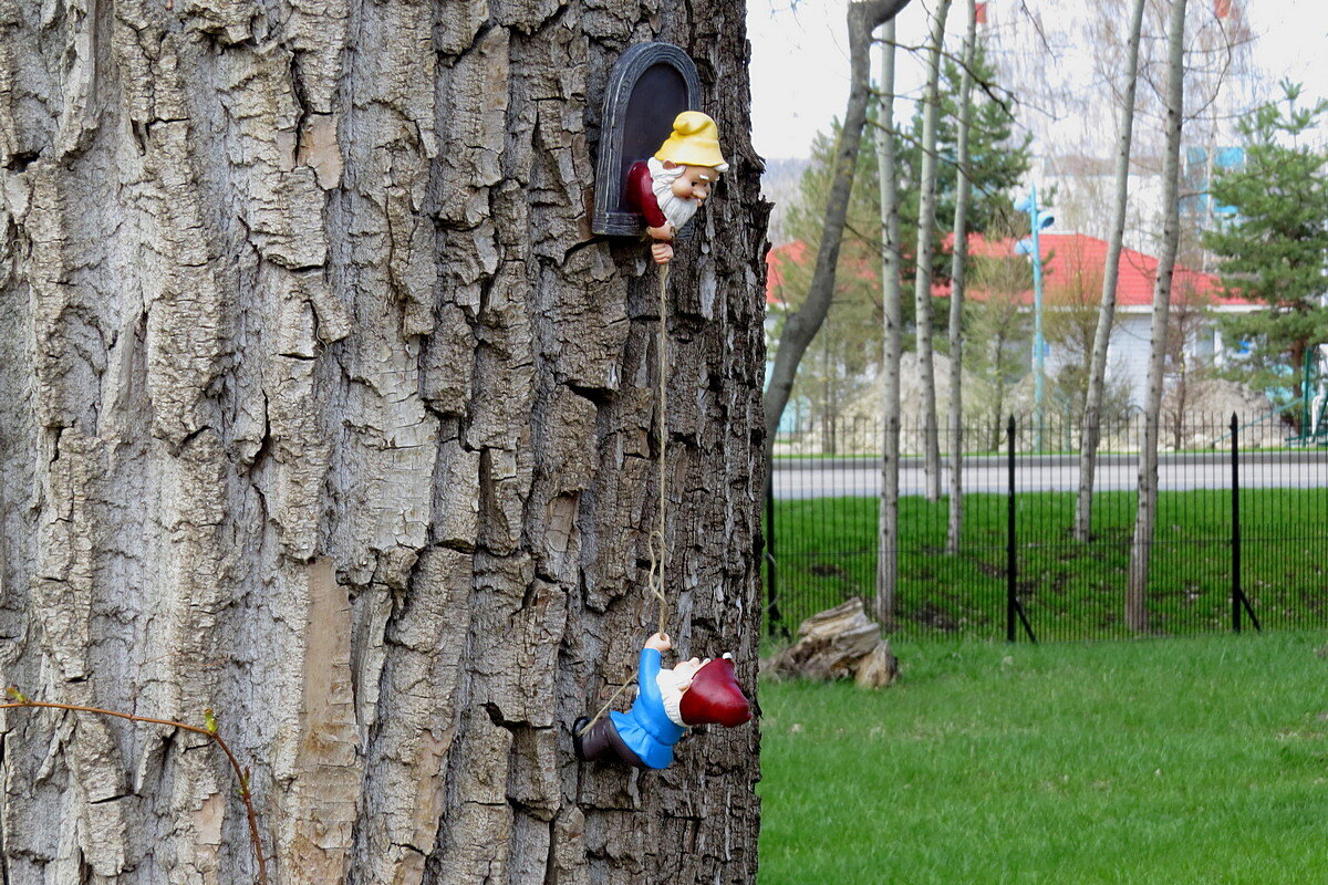 В сказочном парке - Сеня Белгородский В сказочном парке - Сеня Белгородский