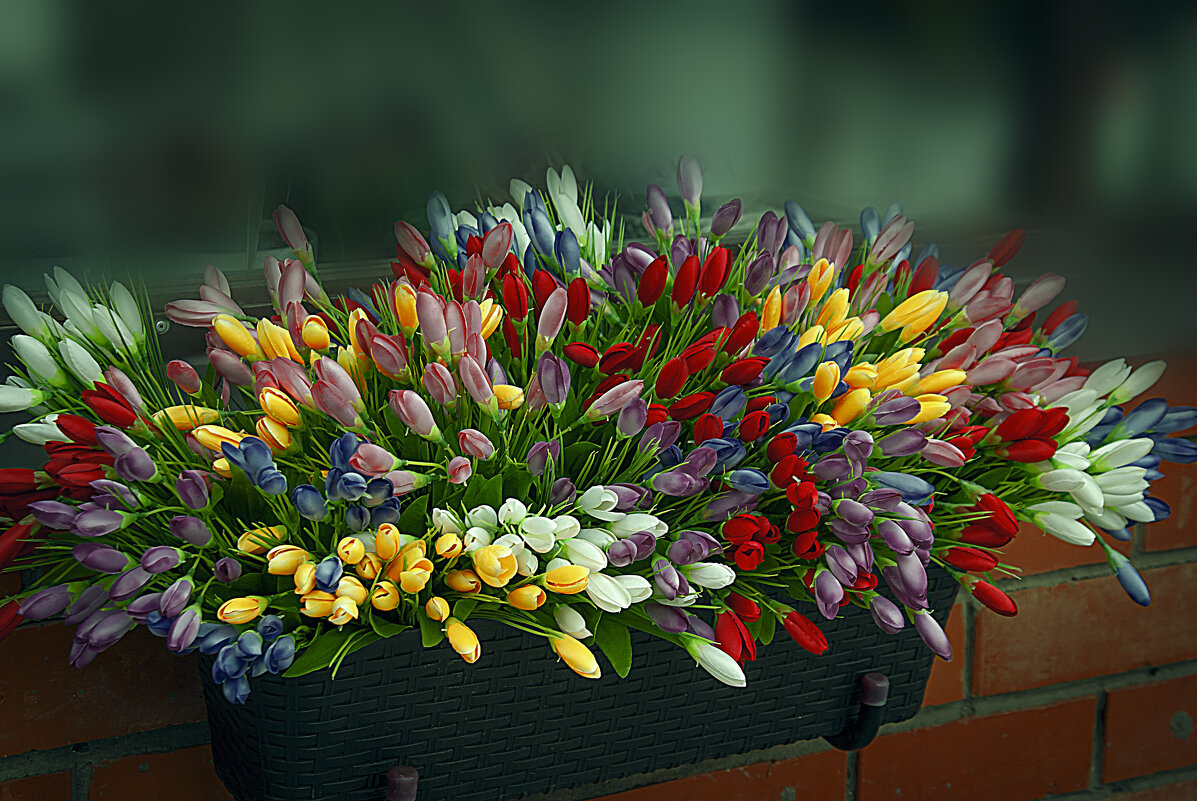 Фабрика тюльпанов - Владимир Кроливец