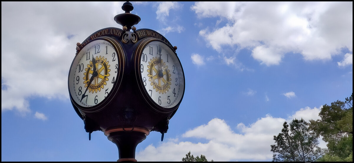 Есть выбор! - **** vedin