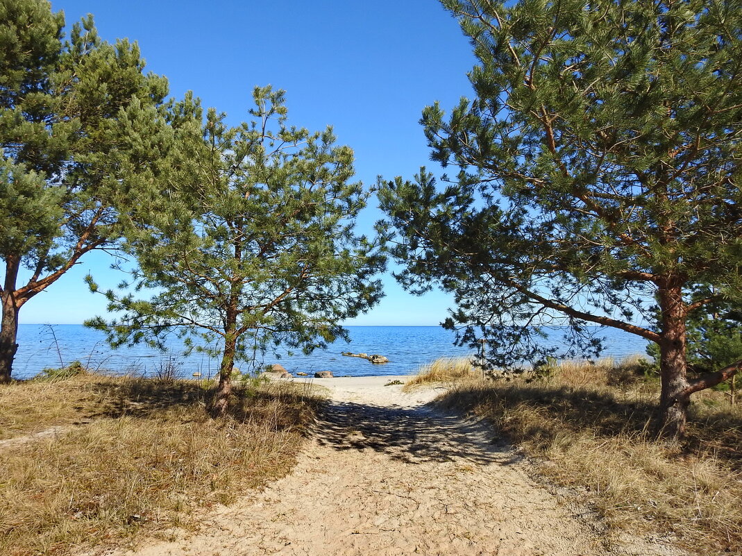 весна - ИННА ПОРОХОВА