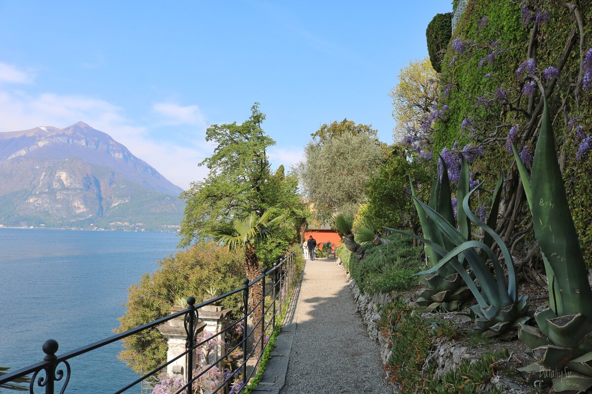 Варенна - Светлана Баталий Варенна - Светлана Баталий