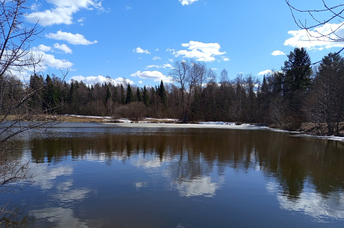 Апрельская синева. - Алена 