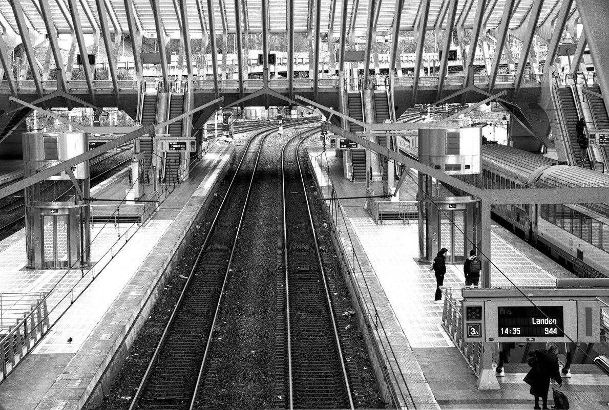 Вокзал в Льеже, архитектор Сантъяго Калатрава - Elena Ророva