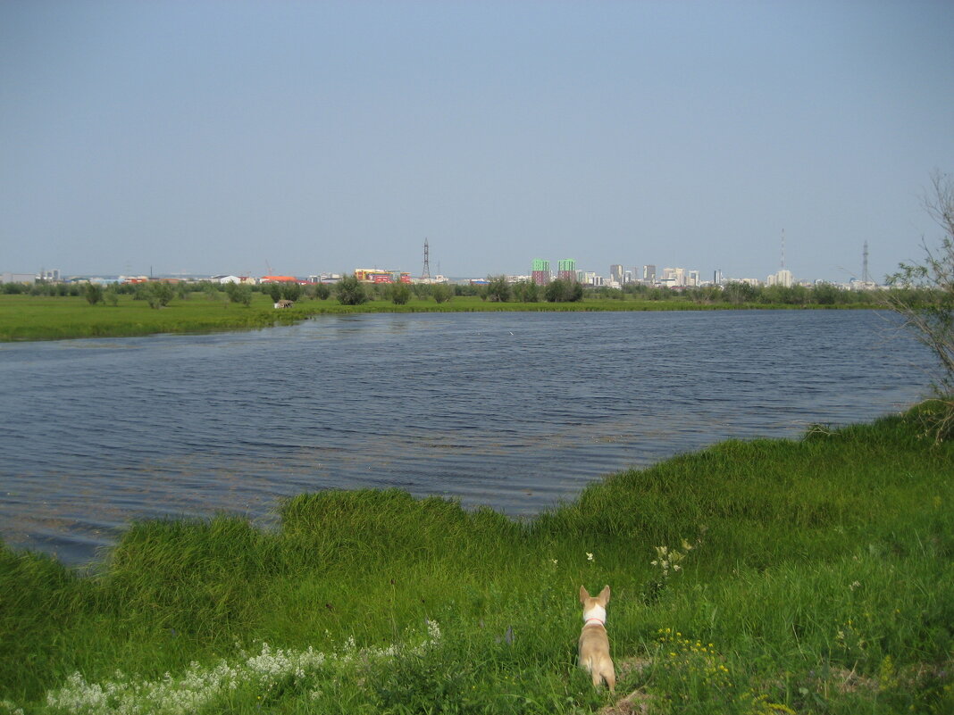 Лето - Anna Ivanova