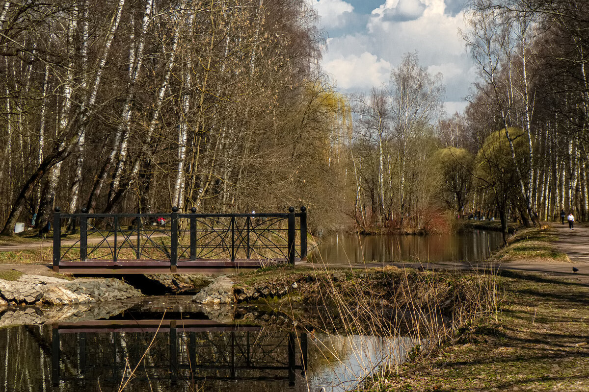 Ранняя весна. Путяевские пруды. Москва. - Василий Ярославцев Ранняя весна. Путяевские пруды. Москва. - Василий Ярославцев
