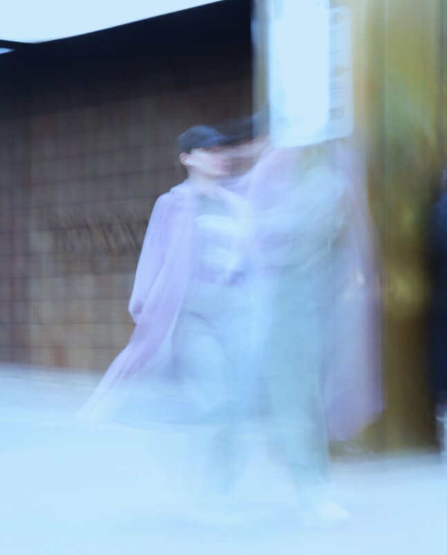 То ли девушка, то ли видение... - Василий Палий