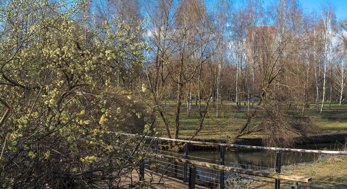 ***** - юрий поляков ***** - юрий поляков