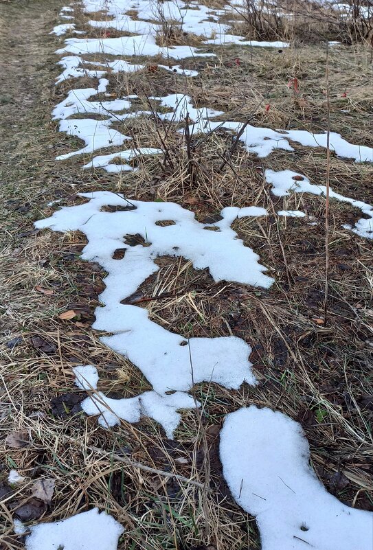 Прощай, Зима! - veilins veilins