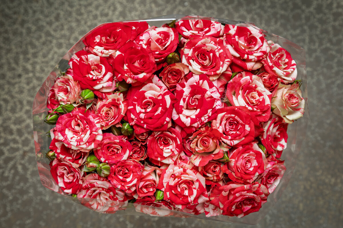 Юбилей. - Борис Калитенко Юбилей. - Борис Калитенко