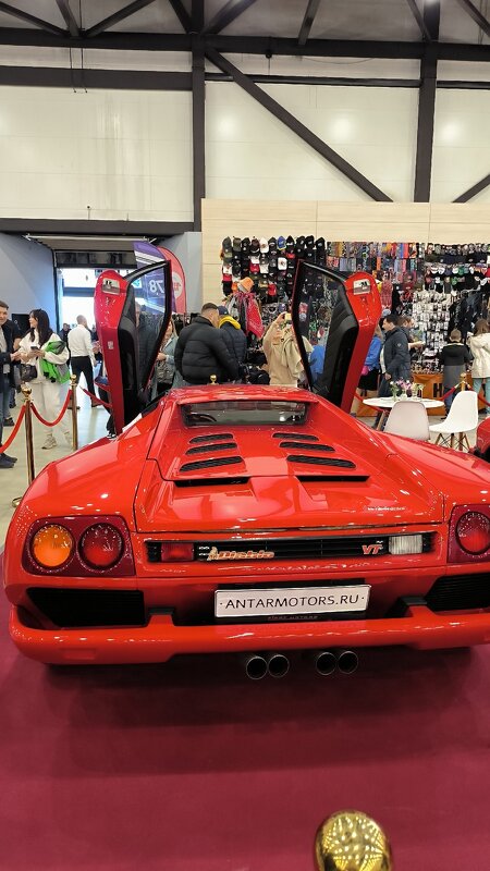 На выставке. - Ольга На выставке. - Ольга