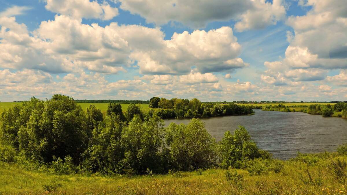Пруд. - Татьяна Нефедьева. Пруд. - Татьяна Нефедьева.
