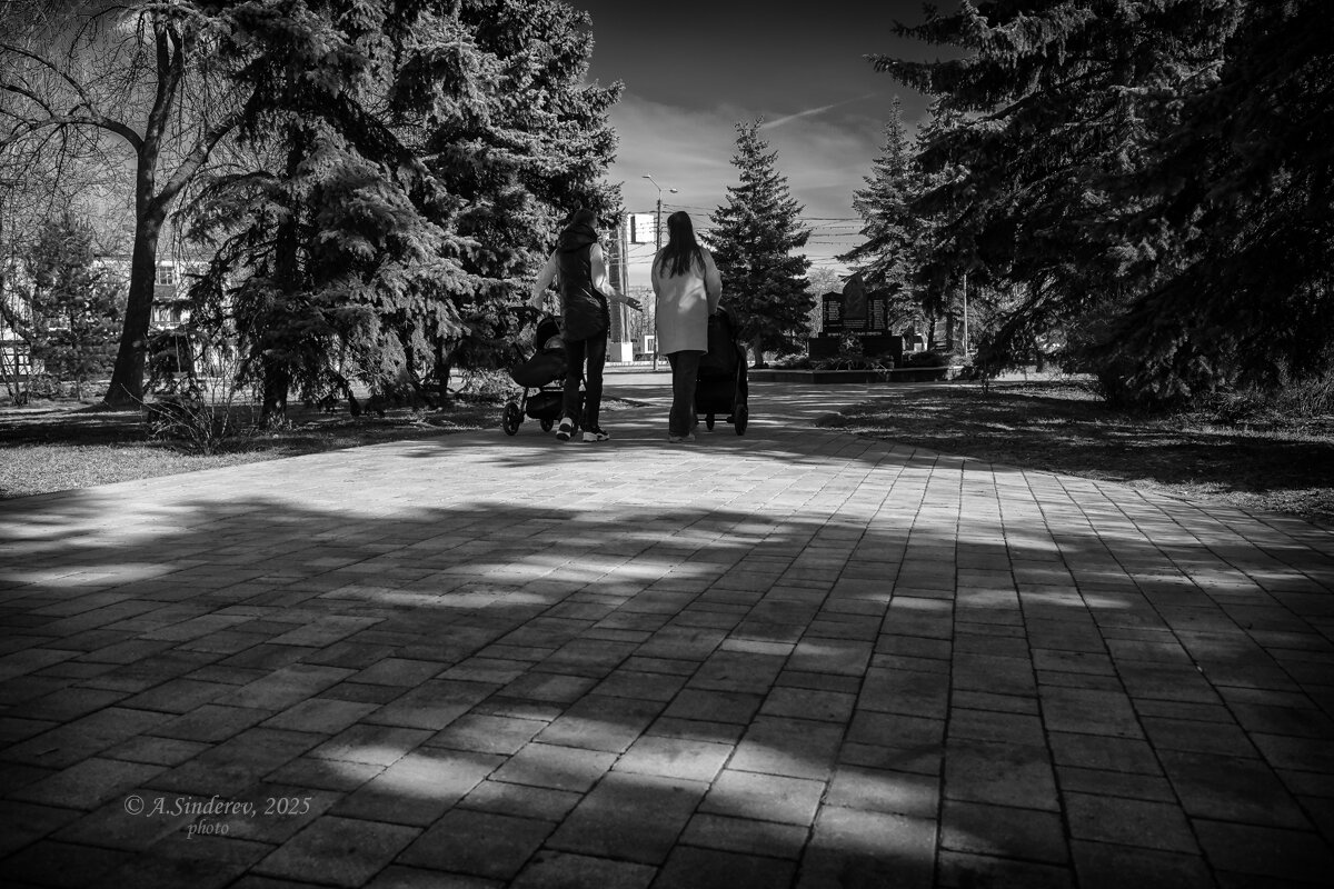 Девушки с колясками - Александр Синдерёв Девушки с колясками - Александр Синдерёв