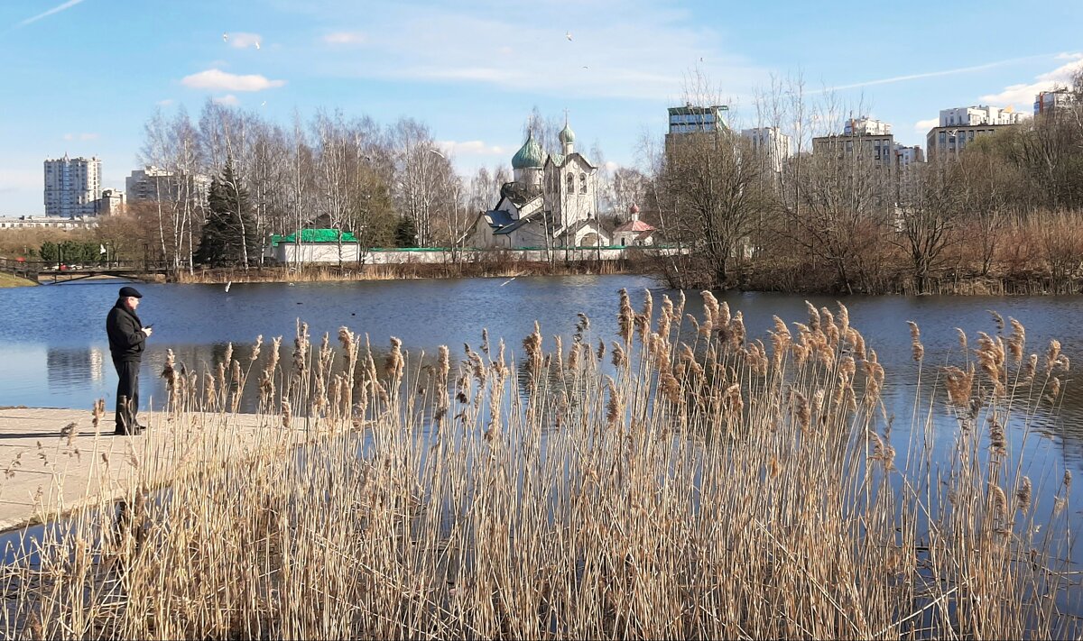Пулковский парк - Наталья Герасимова Пулковский парк - Наталья Герасимова