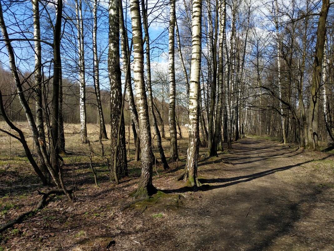 Мои апрельские тезисы - Андрей Лукьянов