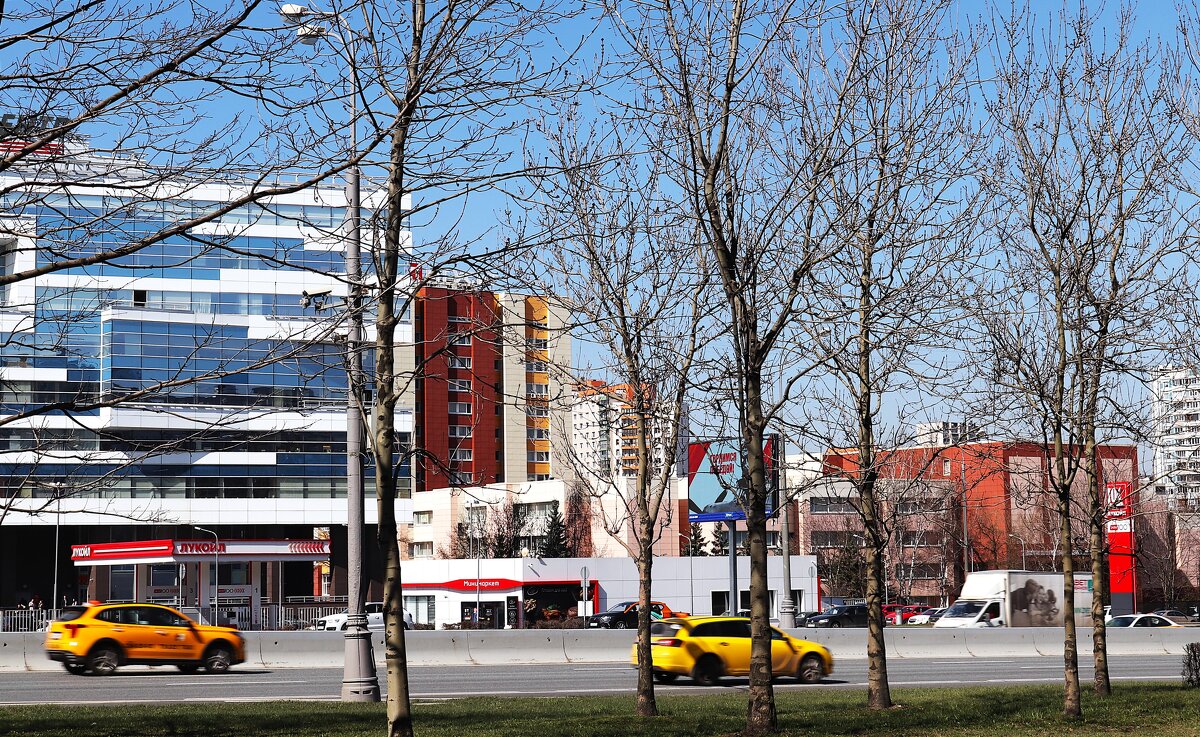 Разноцветный город. - Василий Палий