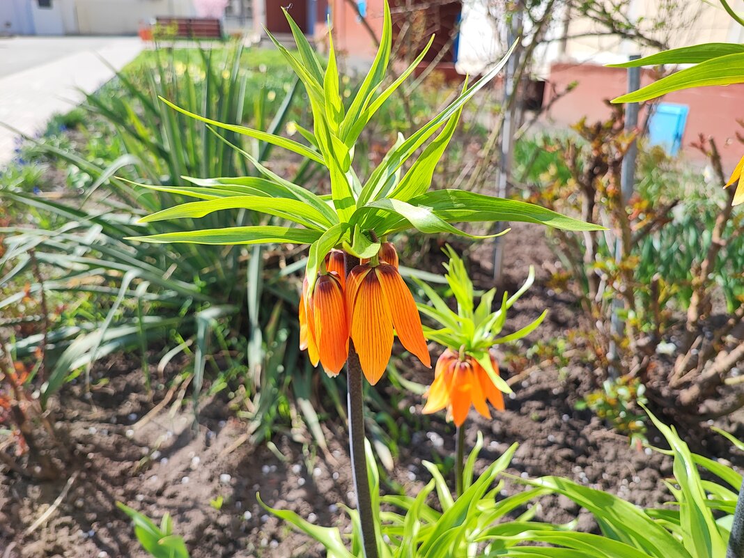 ... - Сергей Тимоновский