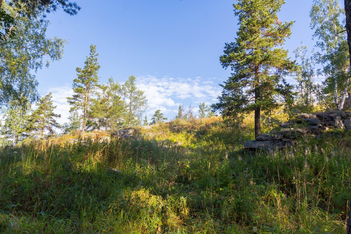 Летнее утро на перевале. Ильменский хребет. - Алексей Трухин