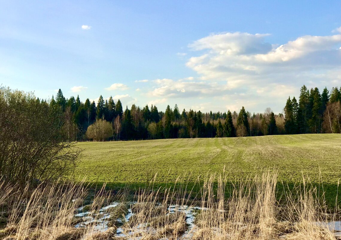 Из окна авто) - Альбина 