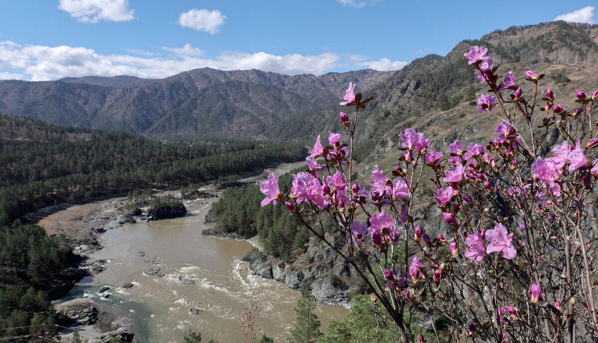 Весеннее... - владимир 