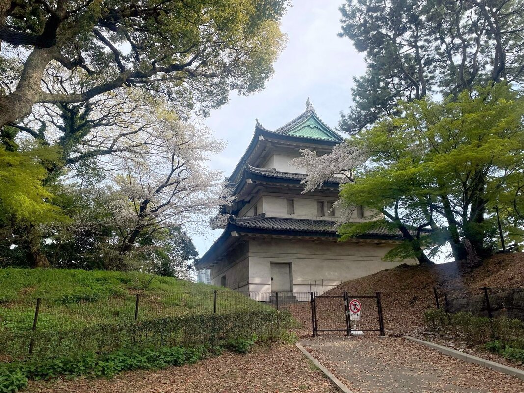 Апрель в Токио - Елена 