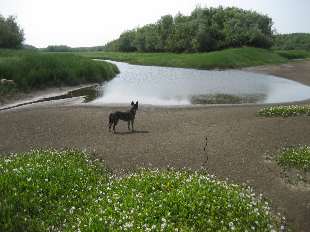 Лето - Anna Ivanova Лето - Anna Ivanova
