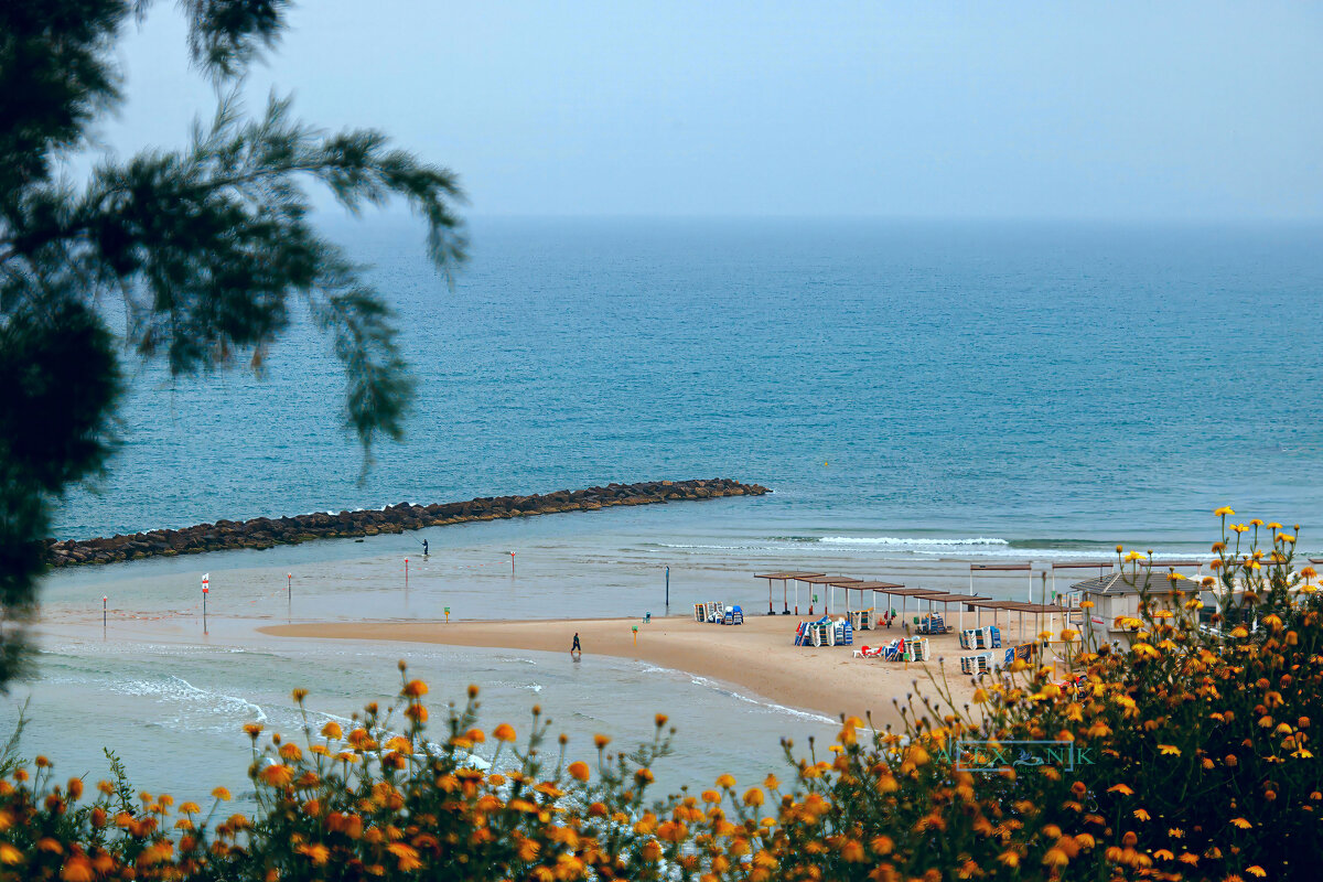 Пляж. - Argaman Табашник