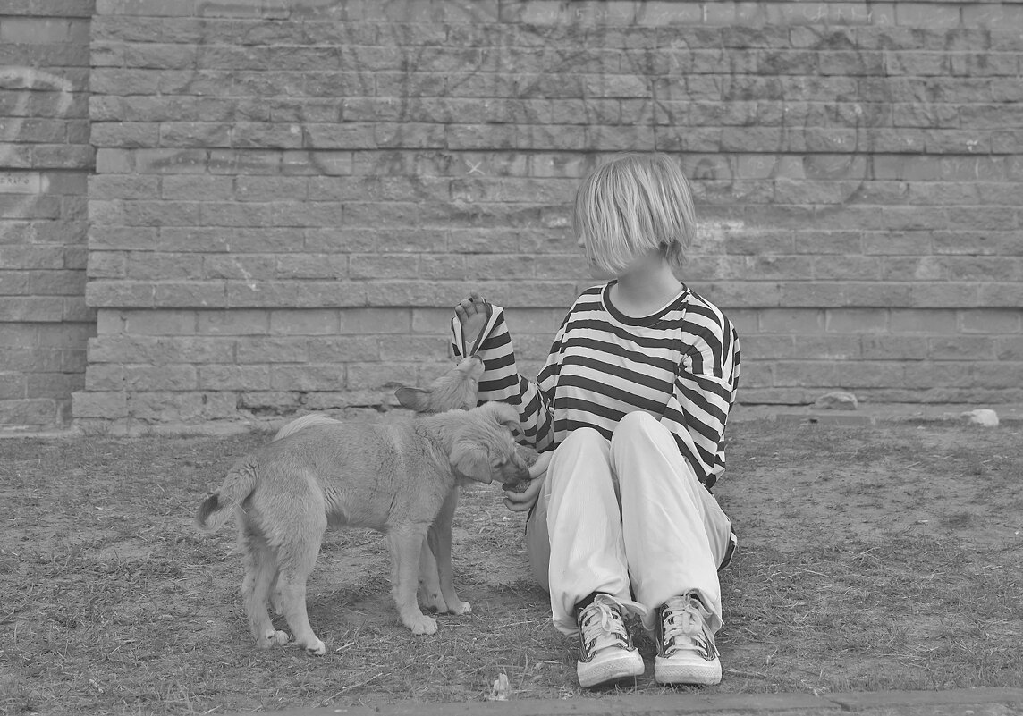 Стоп-кадр! - Валентина Нефёдова Стоп-кадр! - Валентина Нефёдова