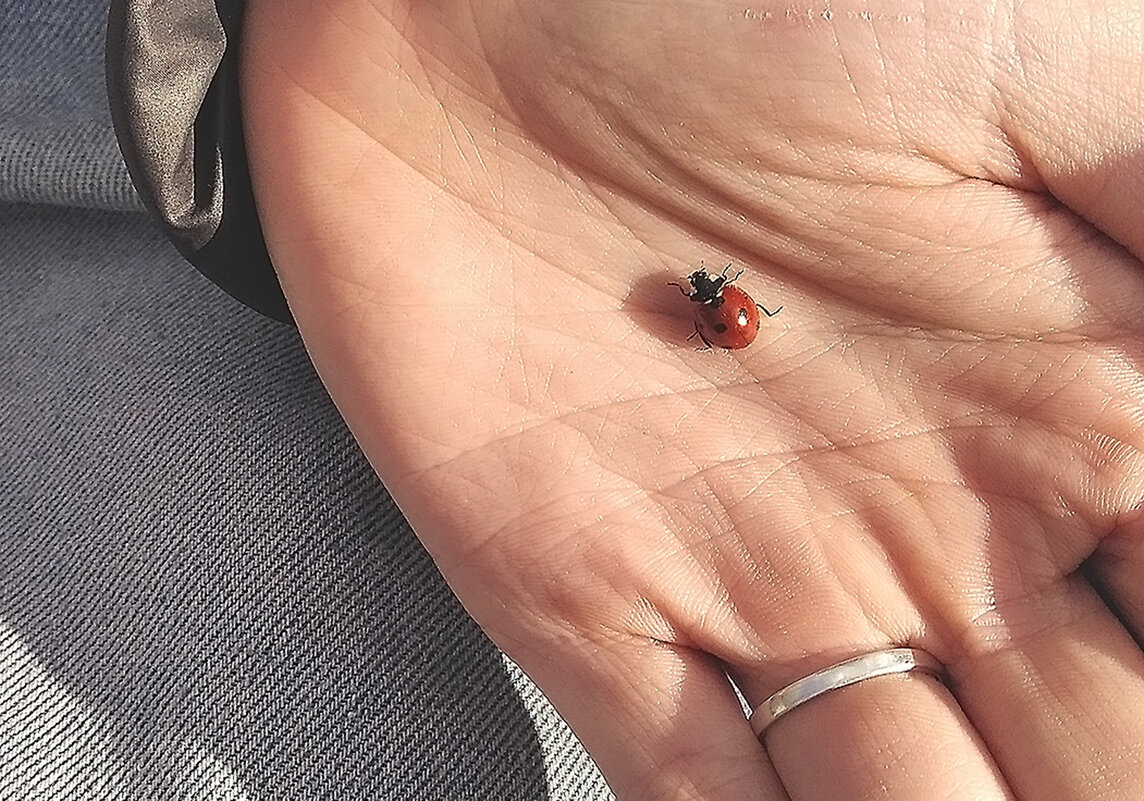 Вася-кабася - на ладошке! - Валентина  Нефёдова 