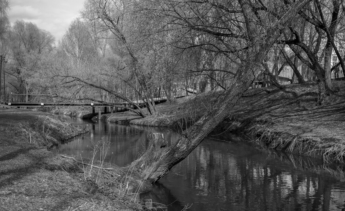 ***** - юрий поляков