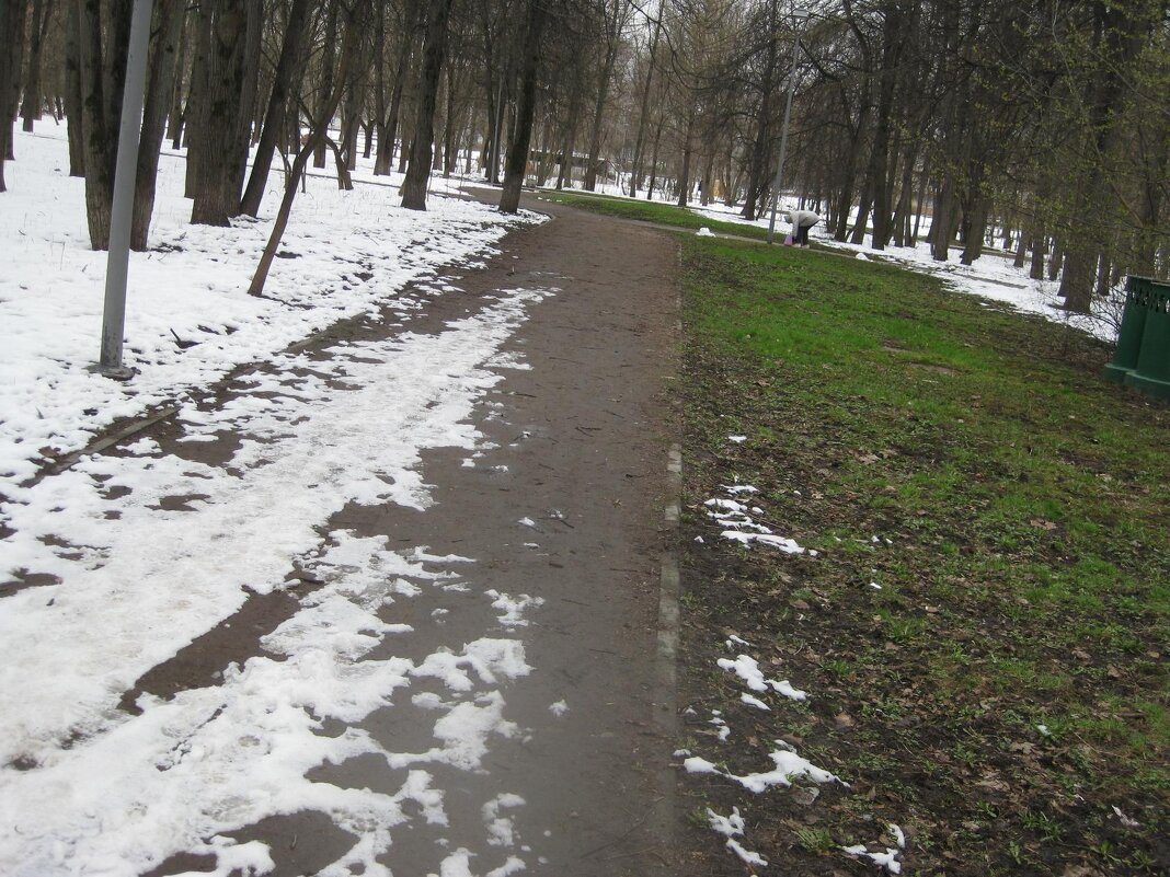 Апрельские дорожки - Дмитрий Никитин Апрельские дорожки - Дмитрий Никитин