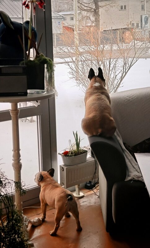 Кафе_1 - Vlaimir Кафе_1 - Vlaimir