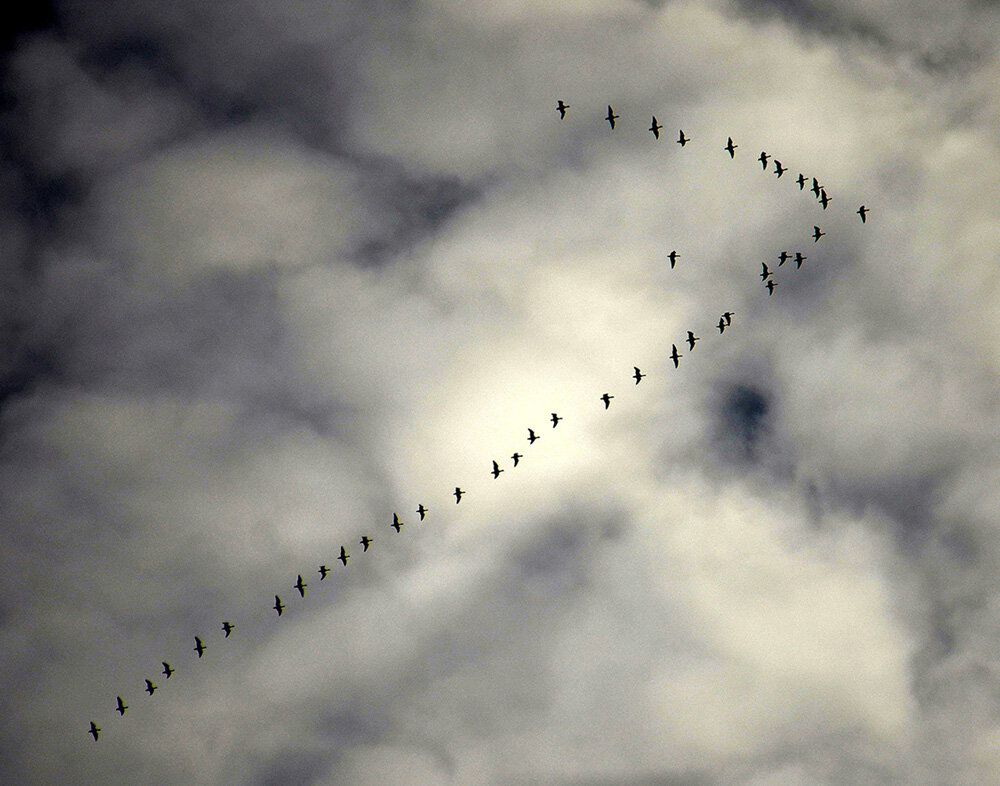 Они вернулись - Aleksandr Gal Они вернулись - Aleksandr Gal