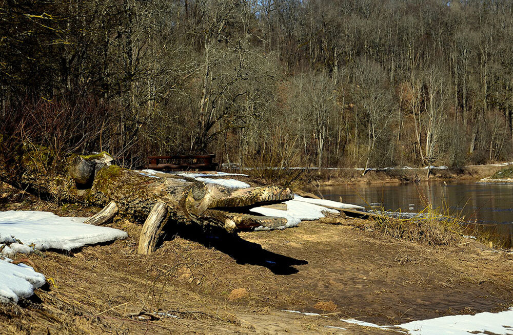 ..а крокодил ловится - Aleksandr Gal ..а крокодил ловится - Aleksandr Gal