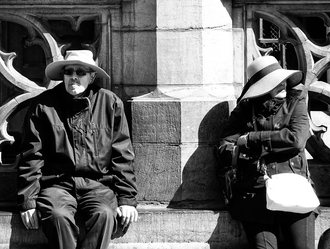 Шляпки поссорились... - Elena Ророva