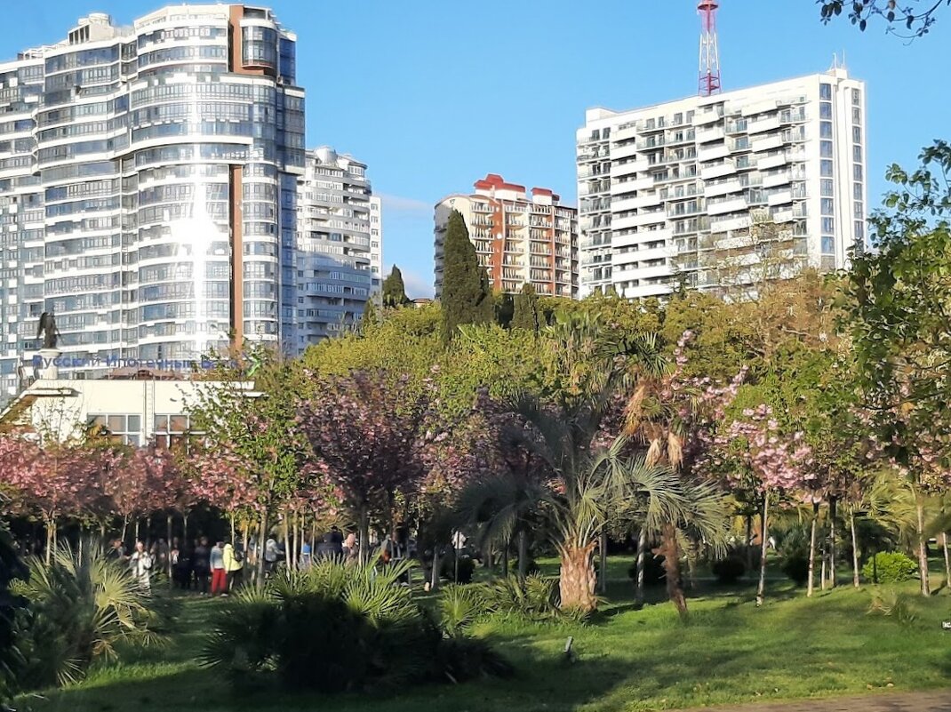 «Черешневый лес». - Tata Wolf