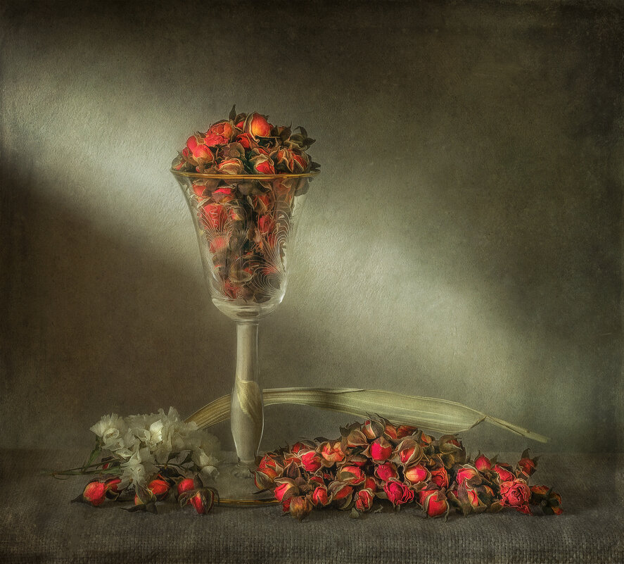 Бутоны роз. - Oleg Rastorguev Бутоны роз. - Oleg Rastorguev