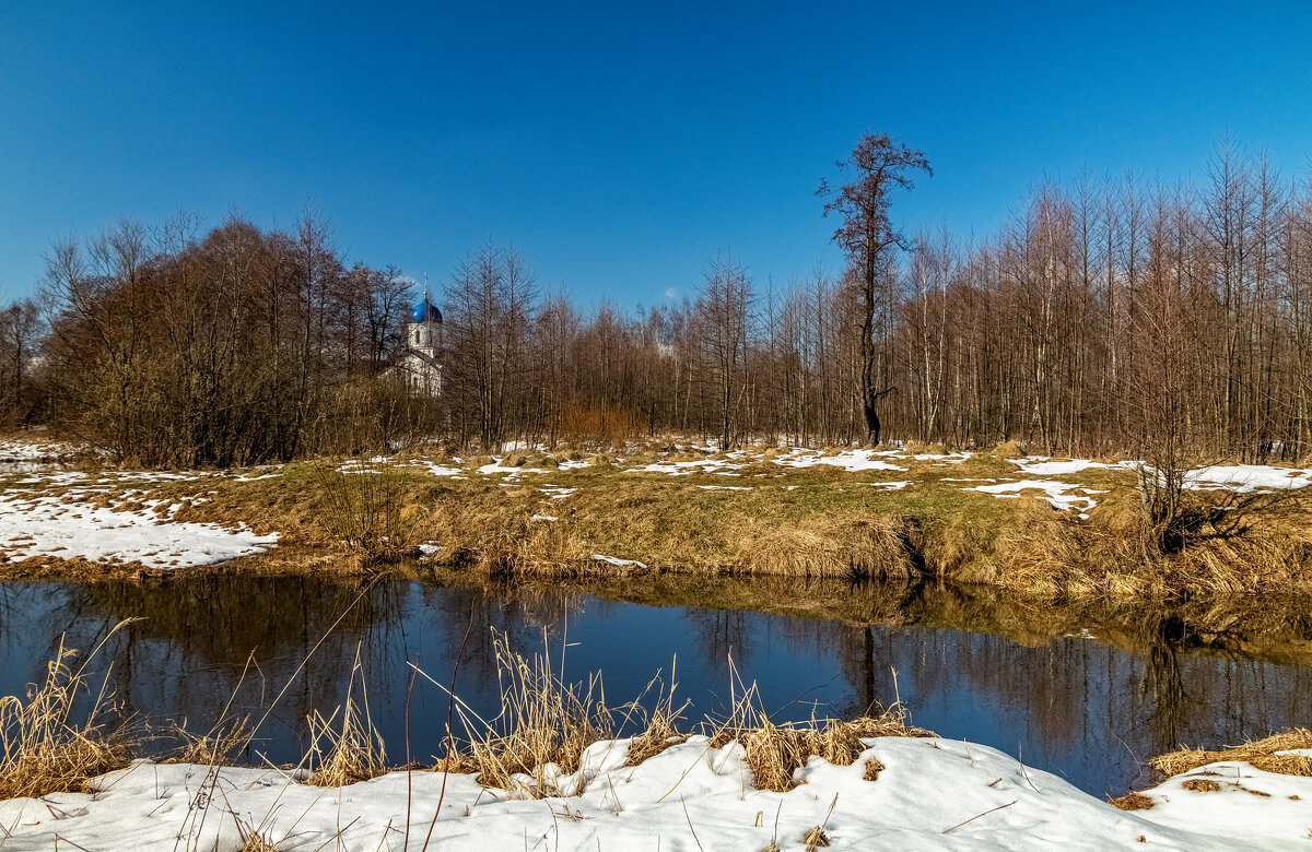 Вербное воскресенье в 2025 году 5 - Андрей Дворников