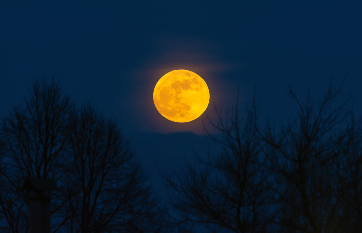 розовое полнолуние - Виталий Емельянов