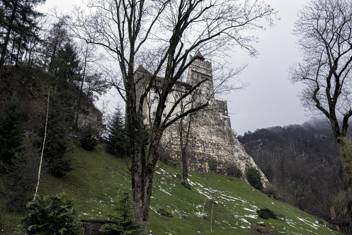 Замок Бран - Александр Липовецкий Замок Бран - Александр Липовецкий