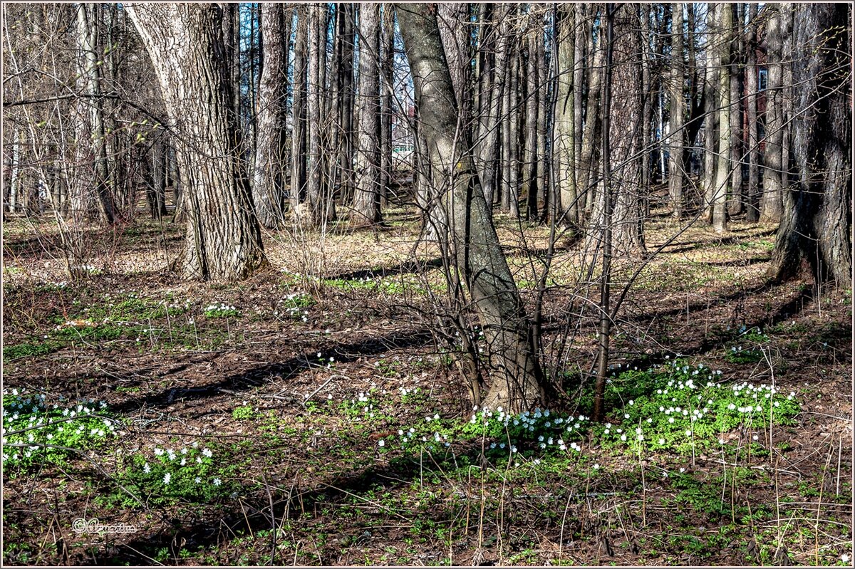 Про апрель... - Aquarius - Сергей