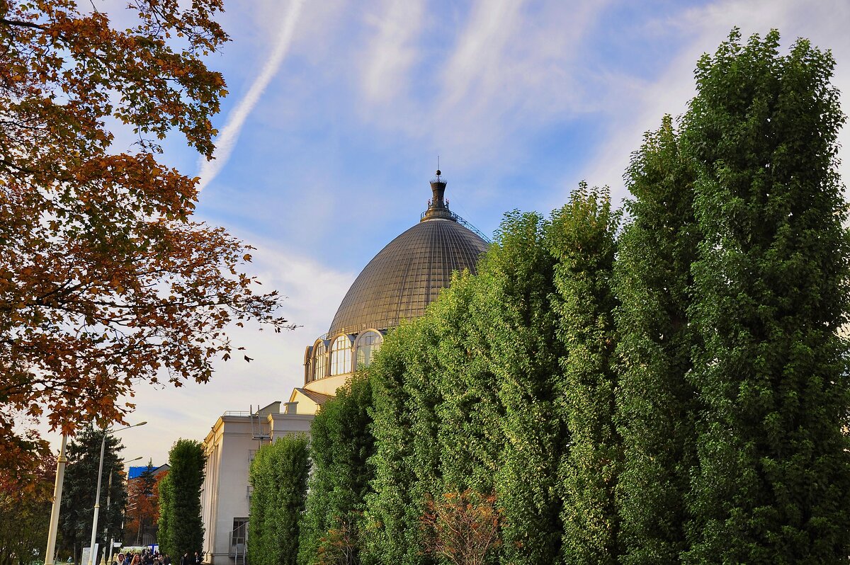 Осеннее небо - Александр Конов