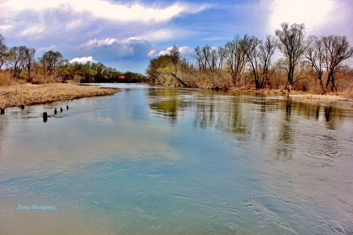 Апрель на Хопре. - Восковых Анна Васильевна Апрель на Хопре. - Восковых Анна Васильевна