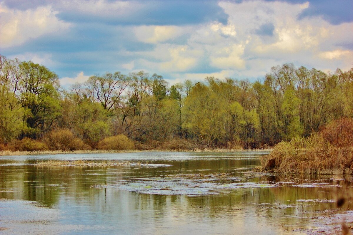 Природа моего любимого Хопра. - Восковых Анна Васильевна Природа моего любимого Хопра. - Восковых Анна Васильевна