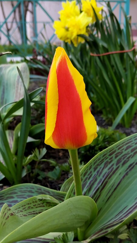 Яркость - Александр Кондаков