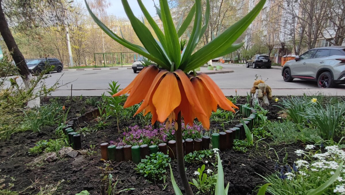 ,,, - Сергей Тимоновский